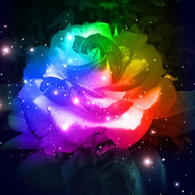 A rose with a rainbow-colored pattern. There are small, white stars scattered across the image. The background is black.